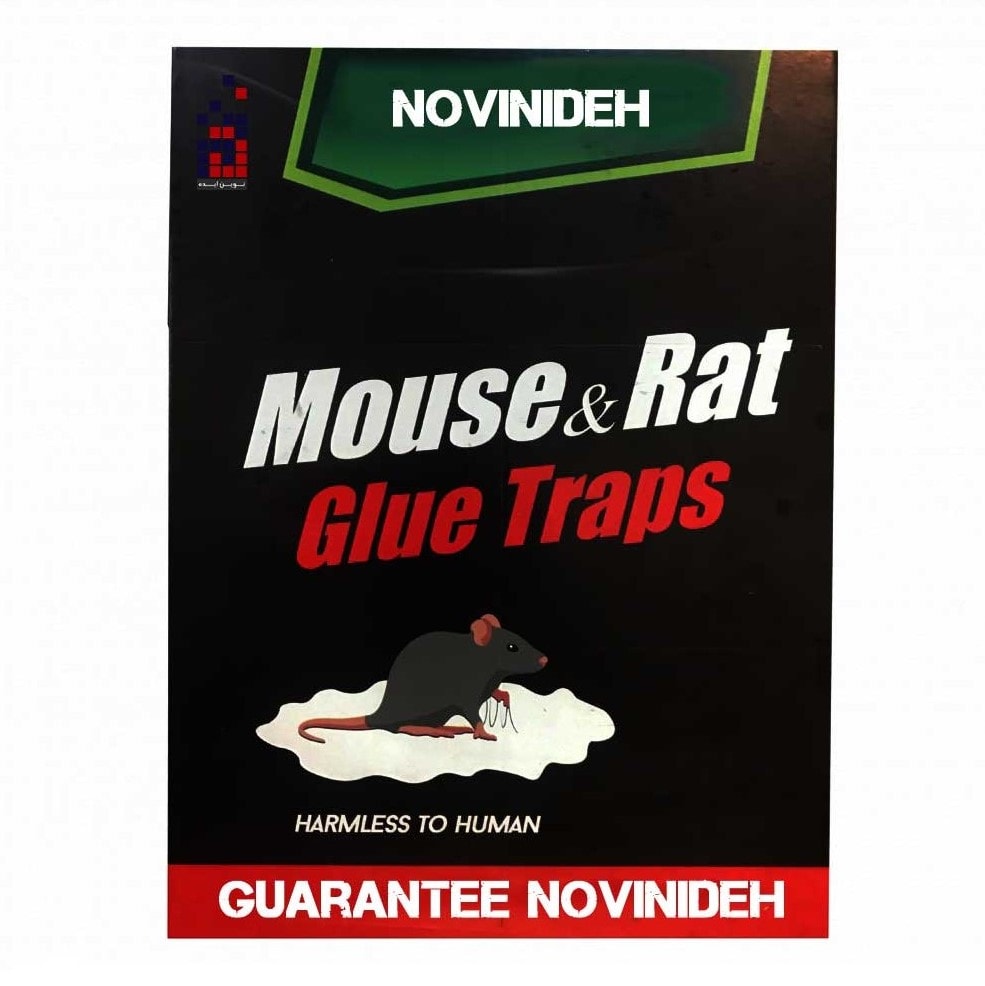 سمپاشی موش- موش از کجا وارد خانه می‌شود؟